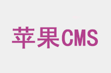 不良伴侣第一季